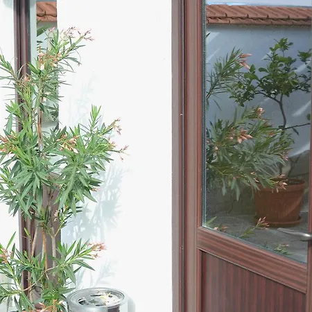 Гостевой дом Dar